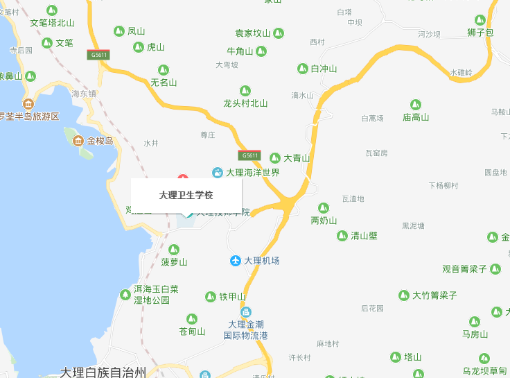 大理衛(wèi)生學校地址在哪里