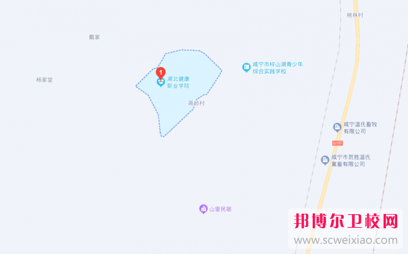 湖北健康職業(yè)學院地址在哪里，哪個地區(qū)，哪個城市?