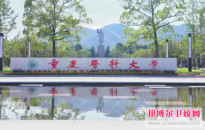 2023重慶醫(yī)科大學(xué)有哪些專業(yè) 重慶醫(yī)科大學(xué)開設(shè)的專業(yè)一覽表