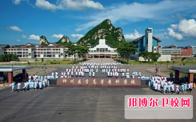 2023柳州醫(yī)學(xué)高等專科學(xué)校附屬中等衛(wèi)生學(xué)校有哪些專業(yè) 柳州醫(yī)學(xué)高等專科學(xué)校附屬中等衛(wèi)生學(xué)校開設(shè)的專業(yè)一覽表