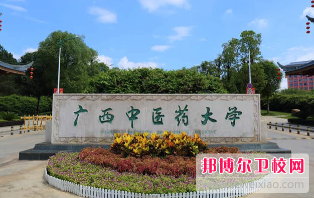 2023廣西中醫(yī)藥大學(xué)有哪些專(zhuān)業(yè) 廣西中醫(yī)藥大學(xué)開(kāi)設(shè)的專(zhuān)業(yè)一覽表