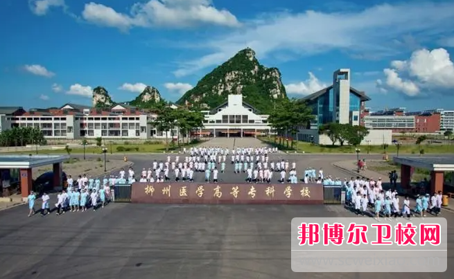 2023柳州公辦助產(chǎn)護理學校有哪些 柳州公辦助產(chǎn)護理學校名單一覽表