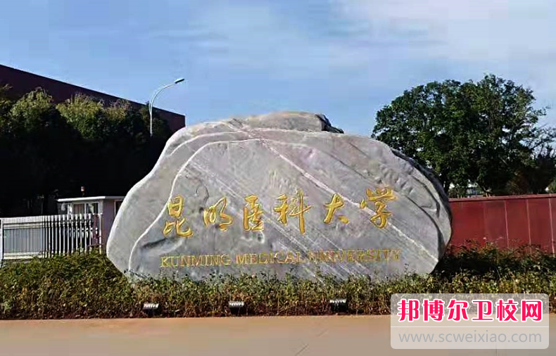 云南2023年哪些大學(xué)有護(hù)理學(xué)校大專(zhuān)