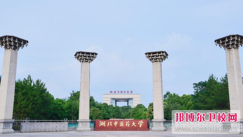 湖北2024年初中生報什么護(hù)理學(xué)校最好